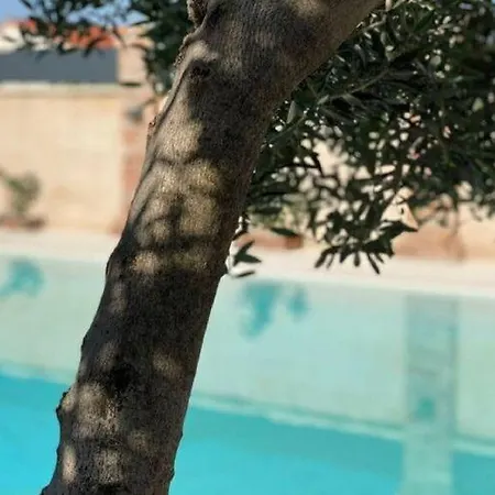 Villa Stalla With Swimming Pool